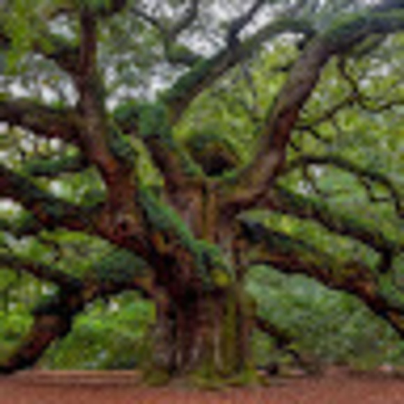 Meet your Posher, Paul - Picture 1 of 1